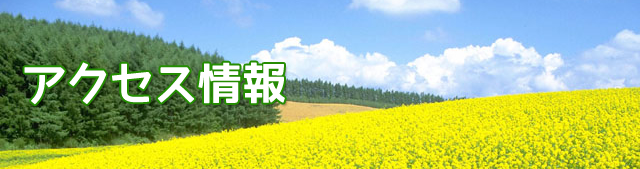 アクセス情報