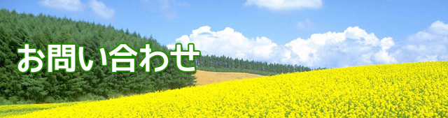 お問い合わせ